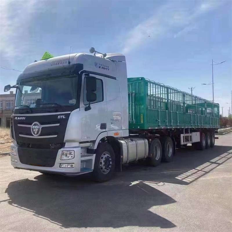 宝鸡市中山市物流运输：多元服务与高效线路探秘