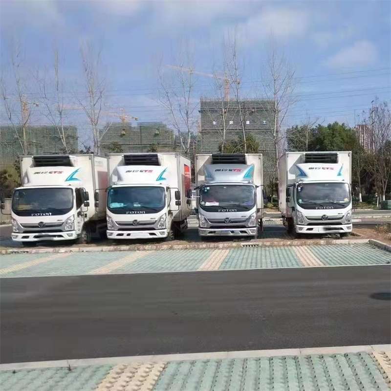 宝鸡市南丰县物流：专线直达背后的多元运输世界