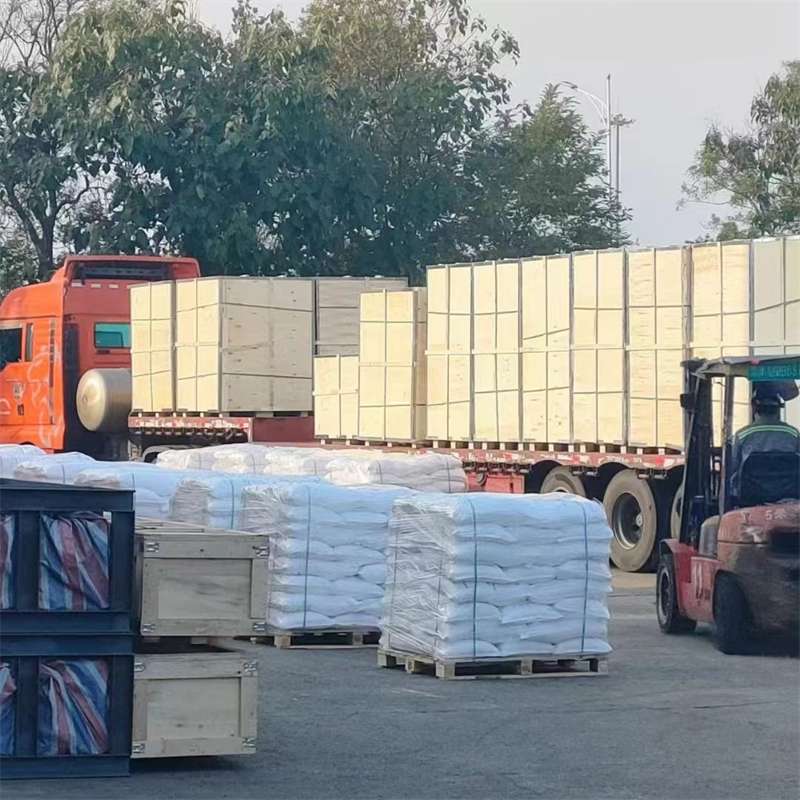 宝鸡市探秘多元货运：从冷链到大件的物流世界