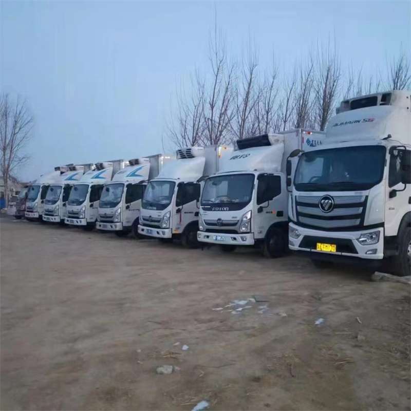 宝鸡市若羌县进仓物流：专线直达的多元货运风采