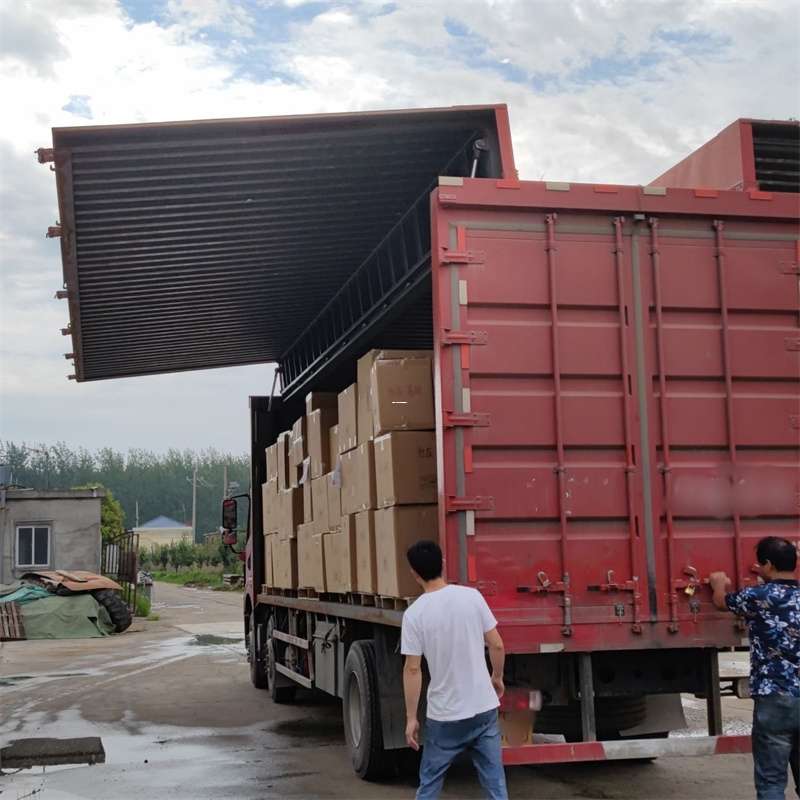 宝鸡市扎囊县：物流专线的高效货运之旅