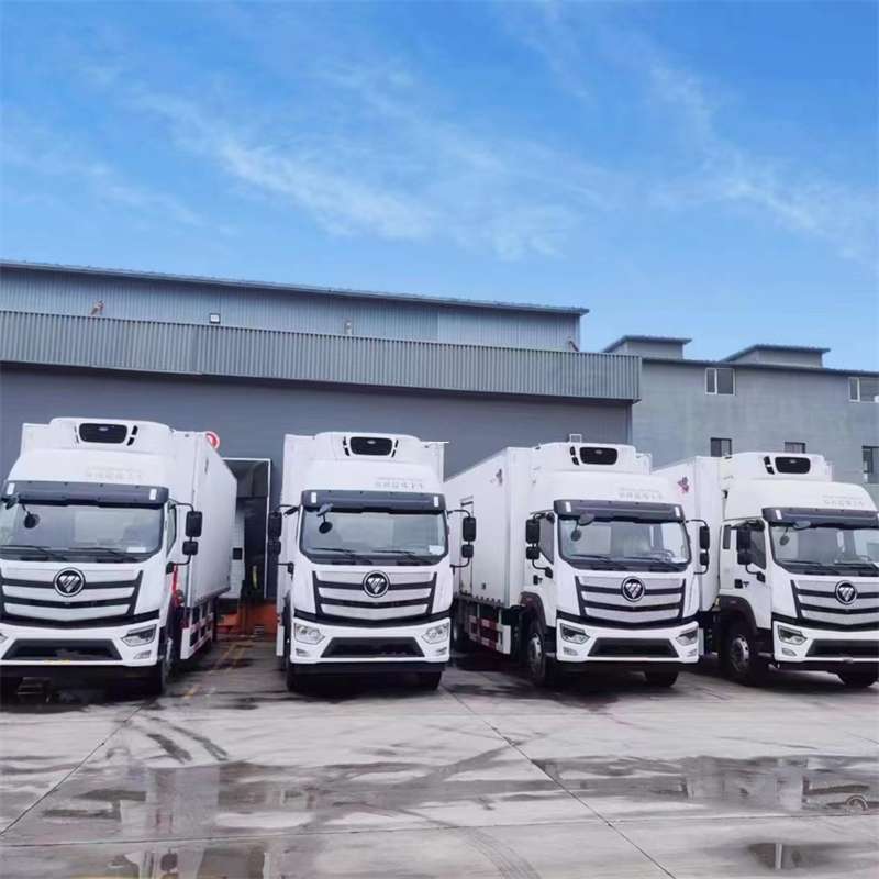 宝鸡市新龙县进仓物流：多元专线直达运输探秘